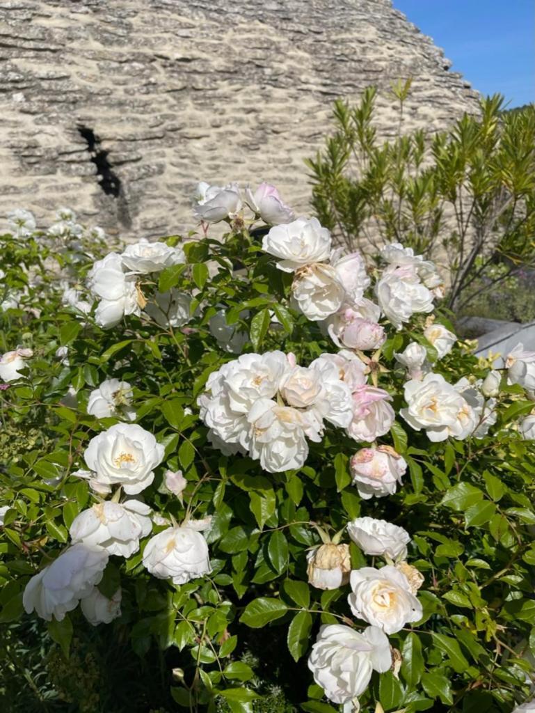 La Borie En Provence Panzió Gordes Kültér fotó