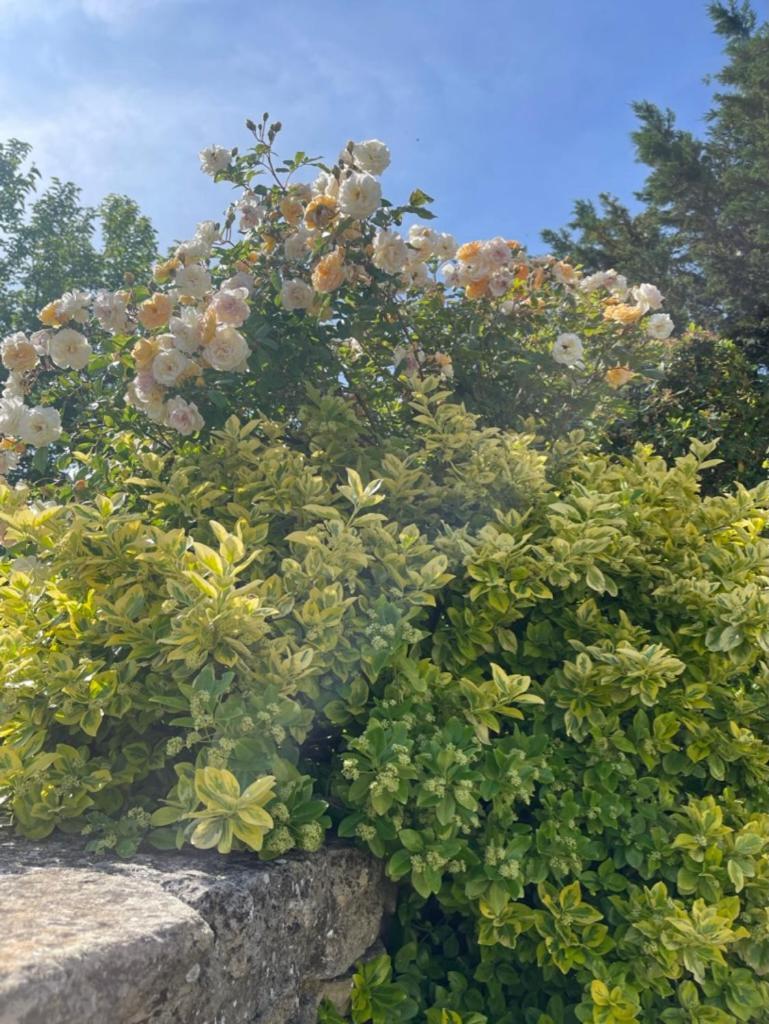 La Borie En Provence Panzió Gordes Kültér fotó