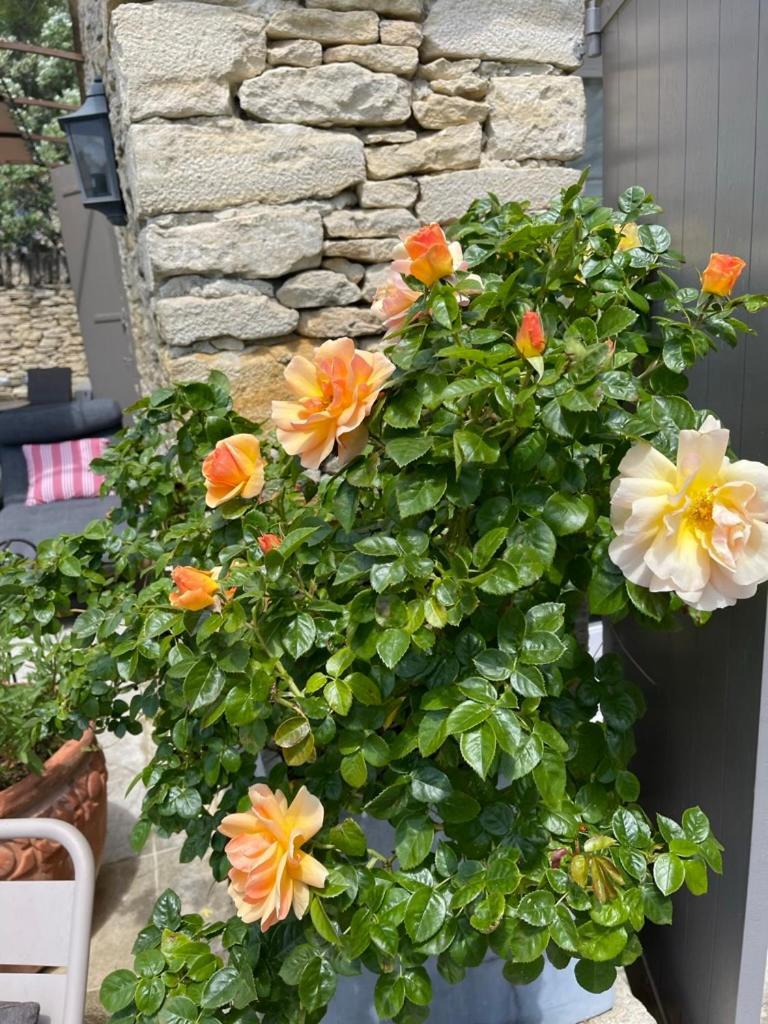 La Borie En Provence Panzió Gordes Kültér fotó