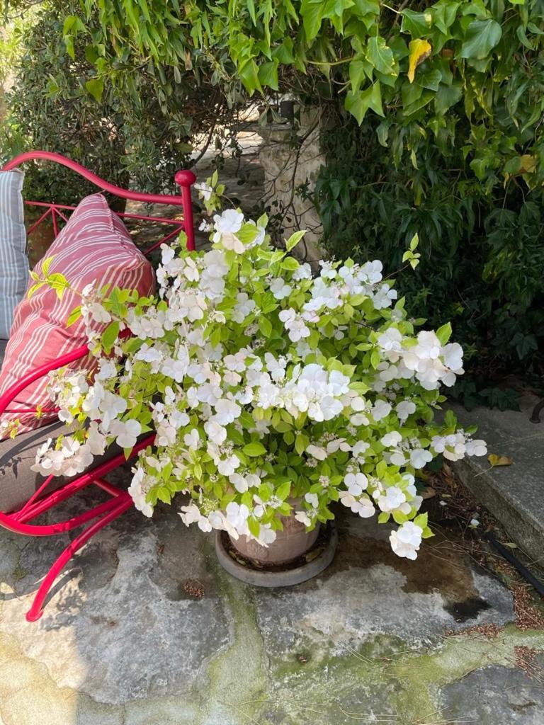 La Borie En Provence Panzió Gordes Kültér fotó