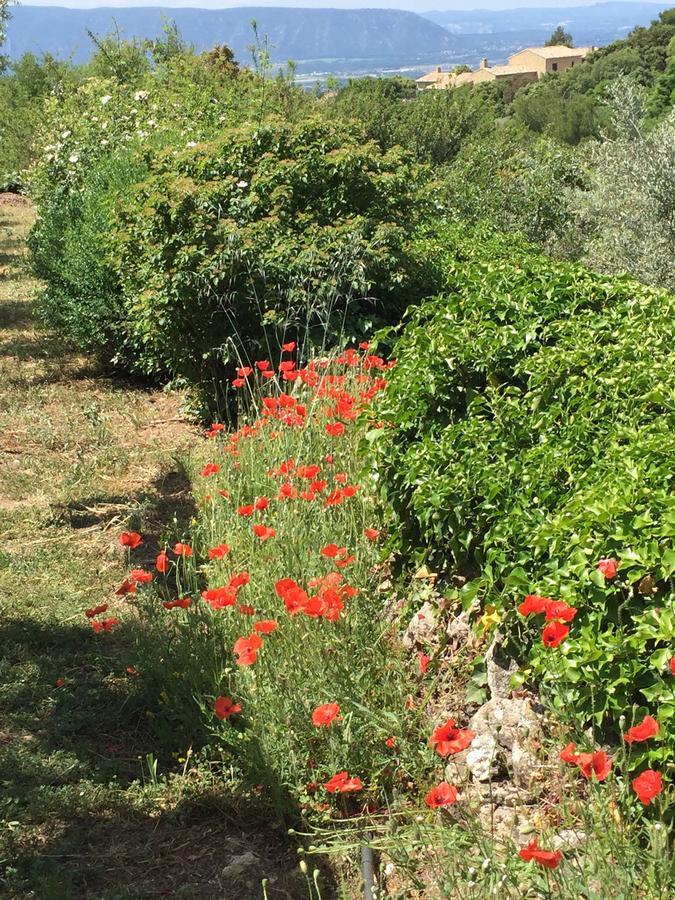 La Borie En Provence Panzió Gordes Kültér fotó